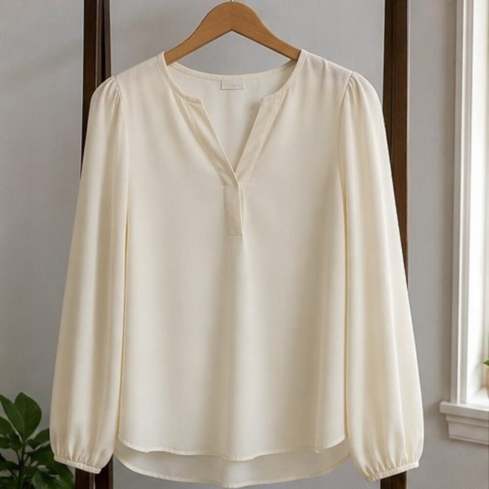 Cream Puff Sleeve Top